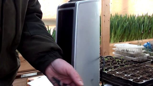 ТЮЛЬПАНЫ не растут из за морозов! Купил ОБОГРЕВАТЕЛЬ в теплицу! #9