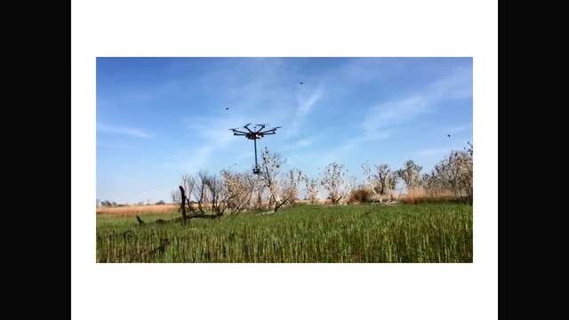 ЧТО НУЖНО ЗНАТЬ О 360-КОНТЕНТЕ СЕГОДНЯ? смотреть онлайн
