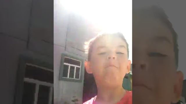 Курица биги^-^ смотреть онлайн