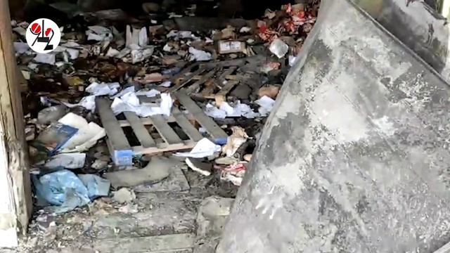 Рыба гниёт в ангаре и люто воняет на весь Уралмаш. Real video смотреть онлайн