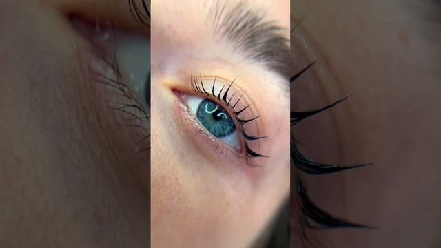 Ламинирование ресниц ?? составы inlei ??#shorts #inlei #бровичереповец #ламинированиересниц смотреть онлайн