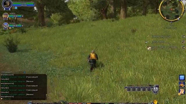 The Lord of the Rings Online прохождение смотреть онлайн