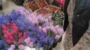 Оптовый цветочный рынок Краснодар 20 февраля 22 г