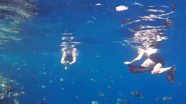 Iberotel Il Mercato, коралловый пляж Sharm Reef Beach