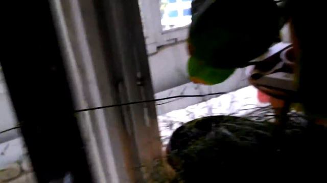 Большая комната обзор!!!!!!!!!!!!!!!!!! смотреть онлайн