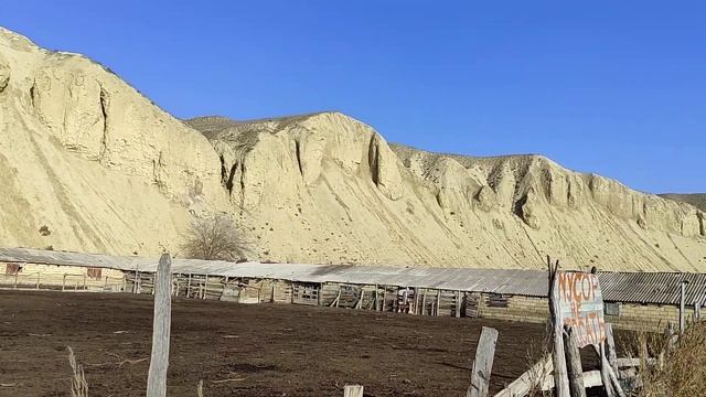 Рабочие волкодавы гор. Встреча на кошаре. часть 1. смотреть онлайн