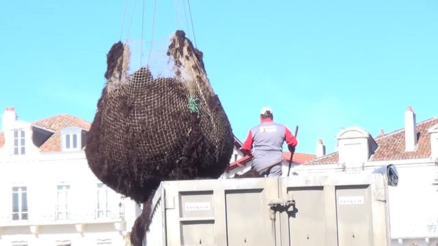 Sony HDR-CX320 E handycam FULL HD 1080p camcorder video test - Saint jean de Luz (france) смотреть онлайн