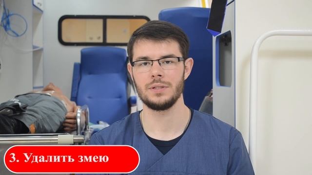 Неотложная помощь при укусе змеи смотреть онлайн