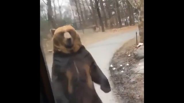 Путинские Медведи -2. смотреть онлайн