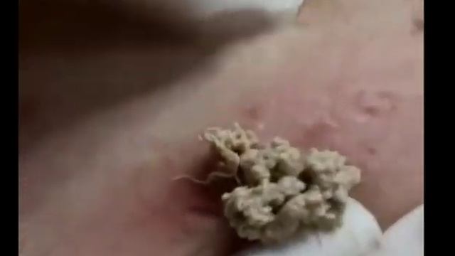 Секреты Профессионального Творца