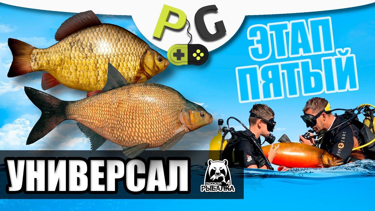 Русская Рыбалка 4 - Прокачка Универсала для новичков и не только ЭТАП ПЯТЫЙ Турниры и Прокачка донки смотреть онлайн