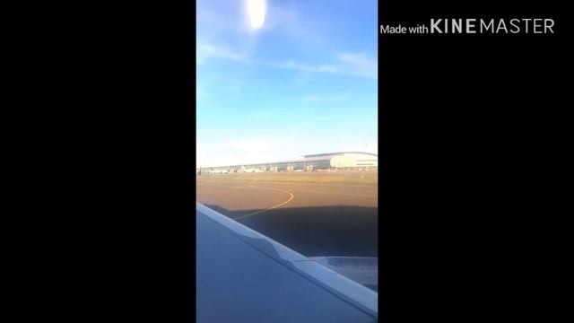 Brussels airline Airbus A320 landing at Brussels airport (BRU) смотреть онлайн