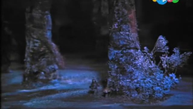 Поселились тут всякие