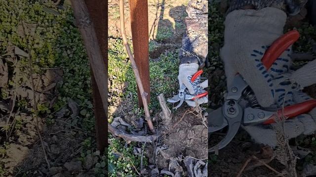 YouCut_20230321_151248664.mp4