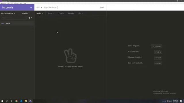 FHIR Intermediate - Running Your Own FHIR Server смотреть онлайн