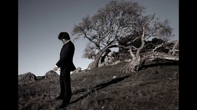 Amon Tobin Horsefish [Live Performance By The London Metropolitan Orchestra]