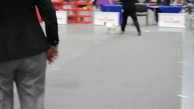 выставка 29.11.14 смотреть онлайн