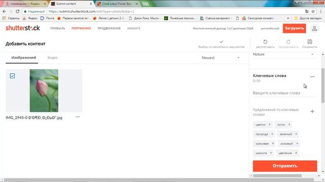 Урок 3. Загружаем фотографии на Шаттерсток. Заработок на фотостоках. смотреть онлайн