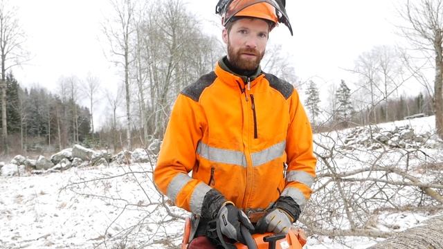 Stihl's New MS 462 Chainsaw - Review смотреть онлайн