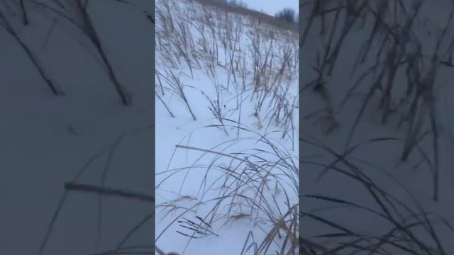 5 января 2019 г. смотреть онлайн