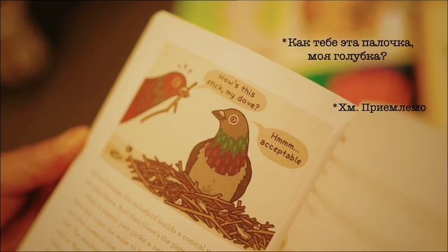 Нью-Йорк влог: шопинг в Нью-Йорке, магазины, цены, покупки смотреть онлайн