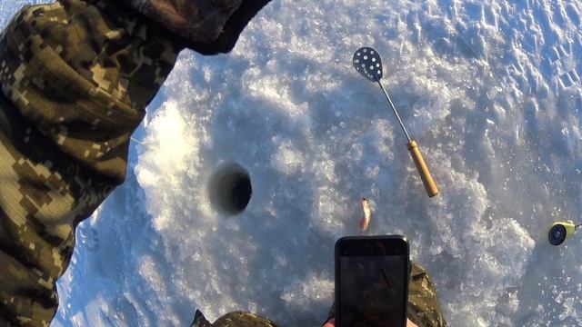 С Володей сгоняли на Диметрово и наловили рыбы смотреть онлайн
