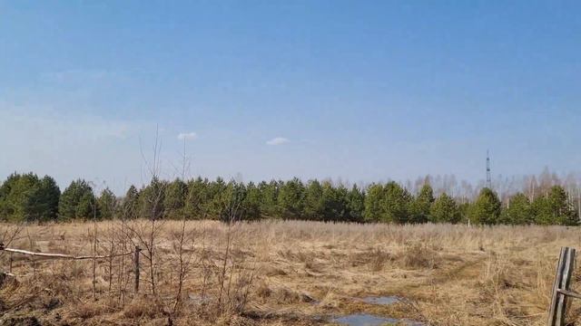 Крестьянское Подворье. В этом году без помощи нам не обойтись.