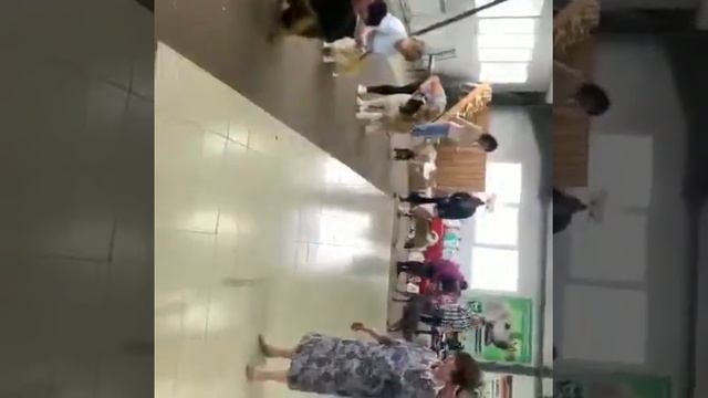 Выставка собак американская акита смотреть онлайн