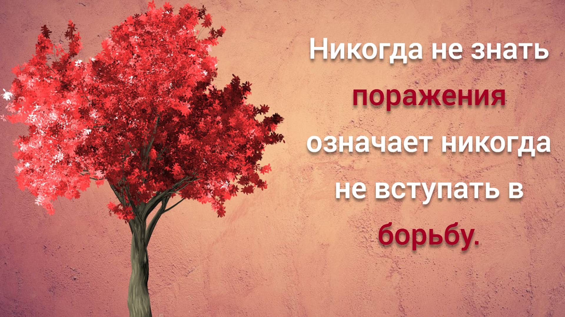 Многовековые японские мудрости | Стоит задуматься | Цитаты великих смотреть онлайн