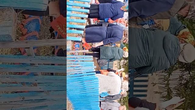 2023 День Победы смотреть онлайн