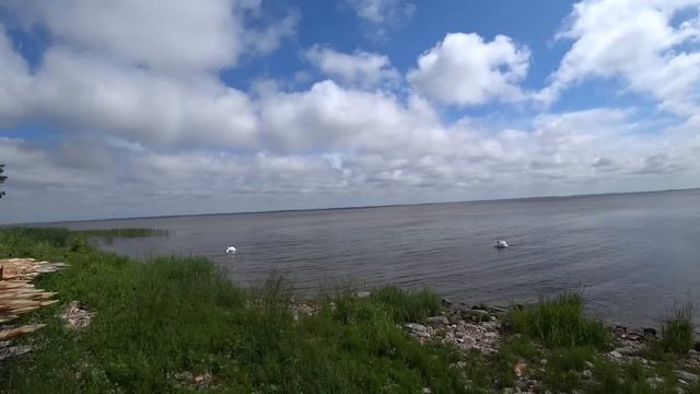 Литва. Самое КРАСИВОЕ и Самое ПОПУЛЯРНОЕ Место в Литве. Куршская Коса, Янтарь и Дюны смотреть онлайн