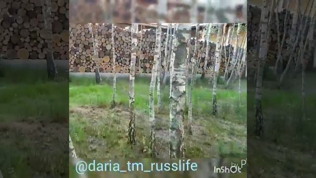 Усадьба вишня смотреть онлайн
