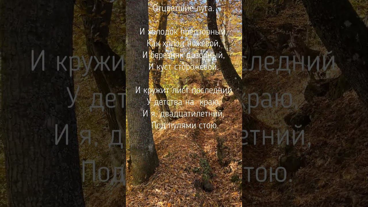 Под пулями стою. Александр Межиров. смотреть онлайн