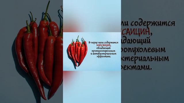 Перец чили.Лечебные свойства и опастность применения.