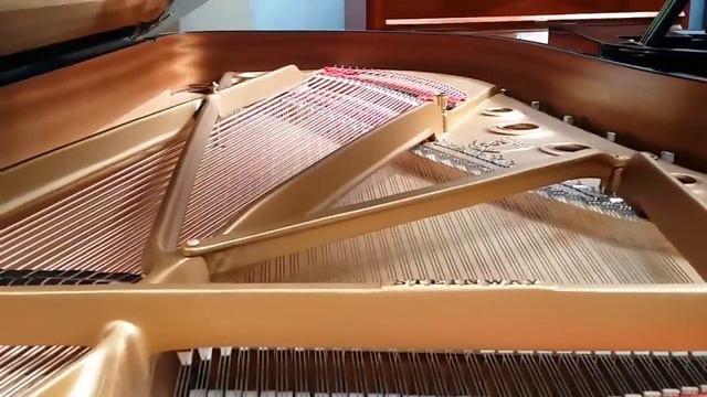 Grand vs Upright pianos: Why grand pianos are generally better. смотреть онлайн