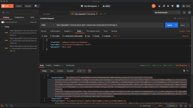 11 - Getting Started with Booster, Deploying, Testing, and Nuking смотреть онлайн