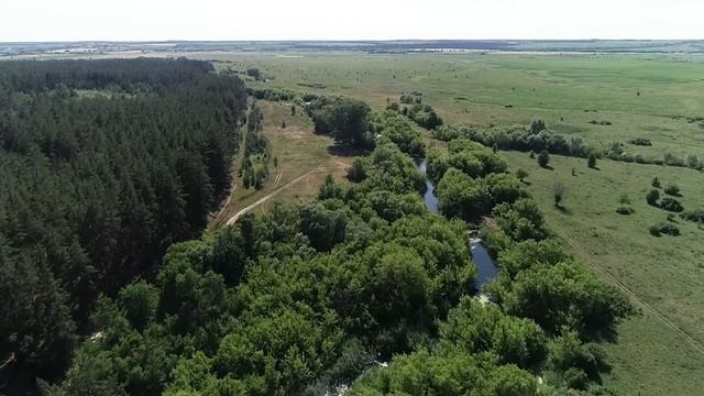 Икорец 2020 смотреть онлайн