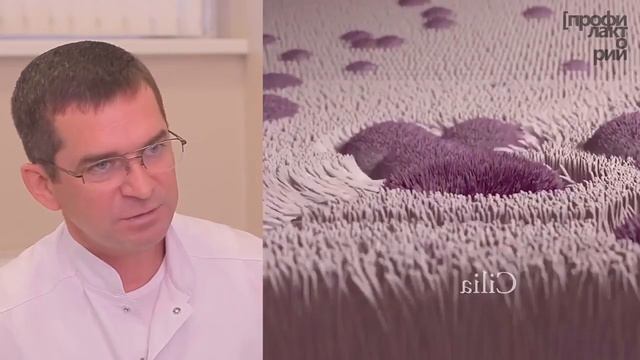 «Насморк- что это?» Андрей Боклин смотреть онлайн