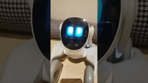 ? [LIVE] Loona Robot ChatGPT - Q&A