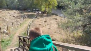 АРХЫЗ БЕЛЫЙ ПИК