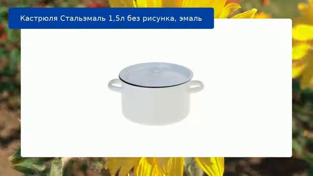 Кастрюля Стальэмаль 1,5л без рисунка, эмаль смотреть онлайн