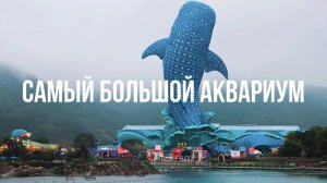 Китайский Диснейленд | Chimelong Ocean Kindom