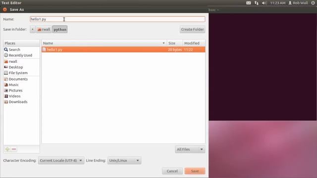 Programming in Ubuntu using a text editor and a terminal смотреть онлайн
