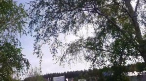 Ревизия и ремонт проводки подсветки номера Passat b5 .