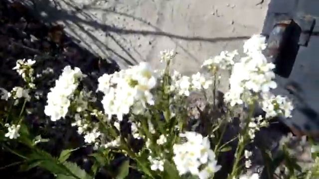 Стройка Хиты