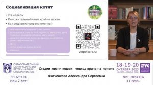 Александра Фотченкова - «Стадии жизни кошек: подход врача на приеме».