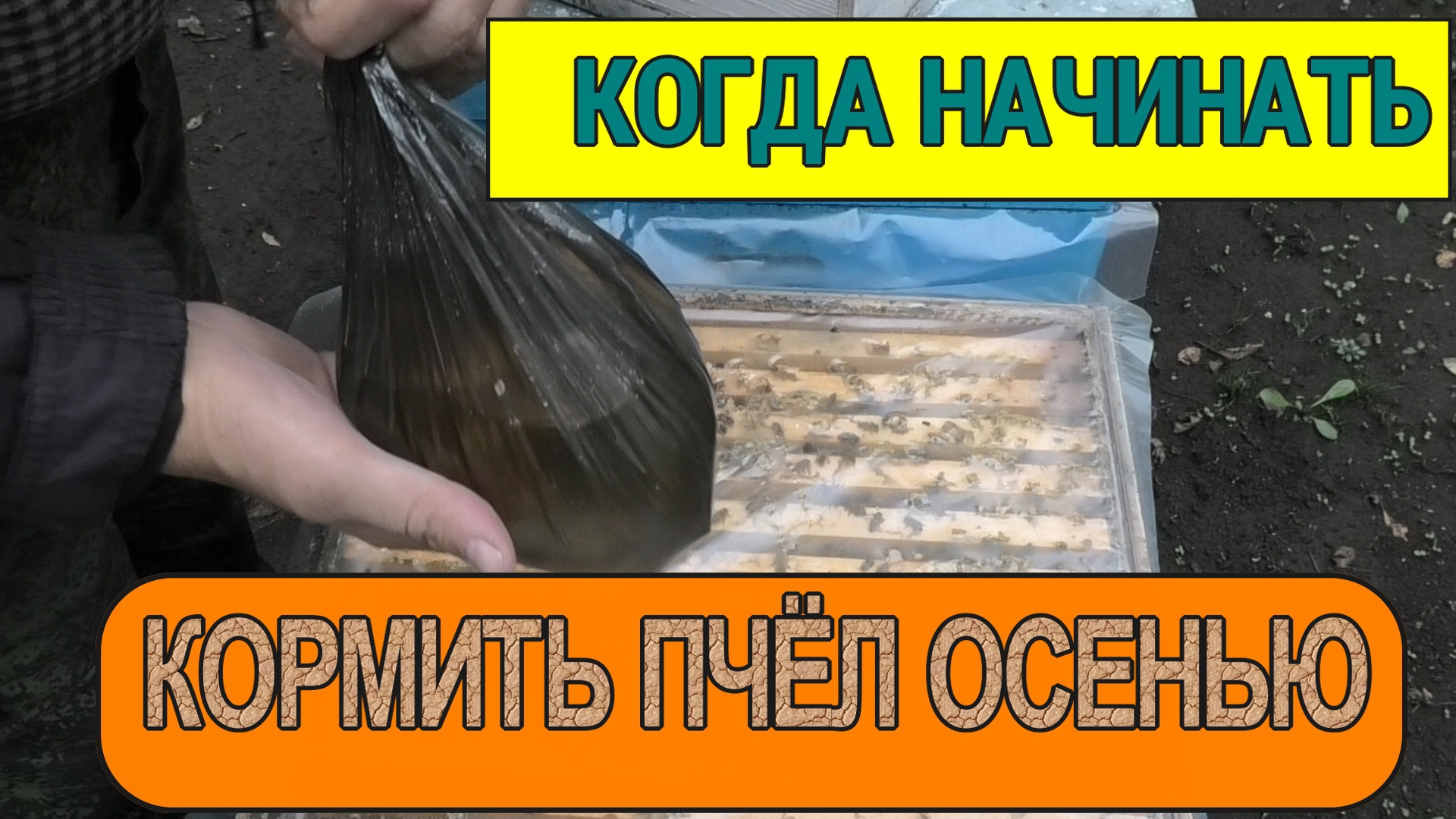 ПОПОЛНЕНИЕ КОРМОВЫХ ЗАПАСОВ.mp4 смотреть онлайн