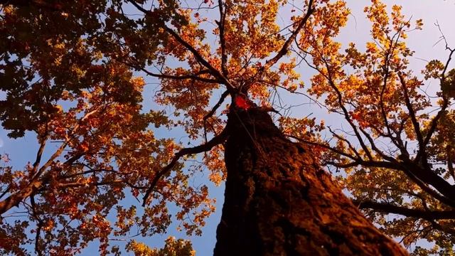 5 ПРИЗНАКОВ СКРЫТОГО ДАРА - СПОСОБНОСТИ ЧИТАТЬ ЭНЕРГИИ ДРУГИХ ЛЮДЕЙ! смотреть онлайн