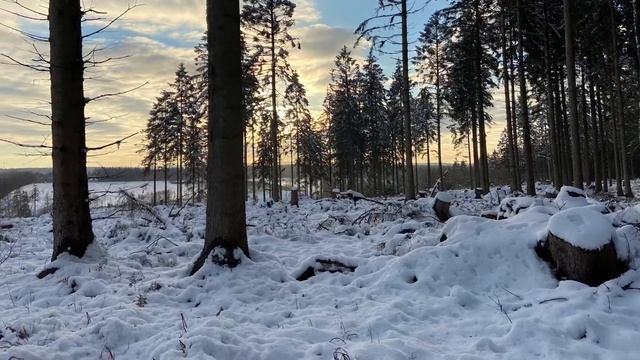 Стих: церковь Божья смотреть онлайн