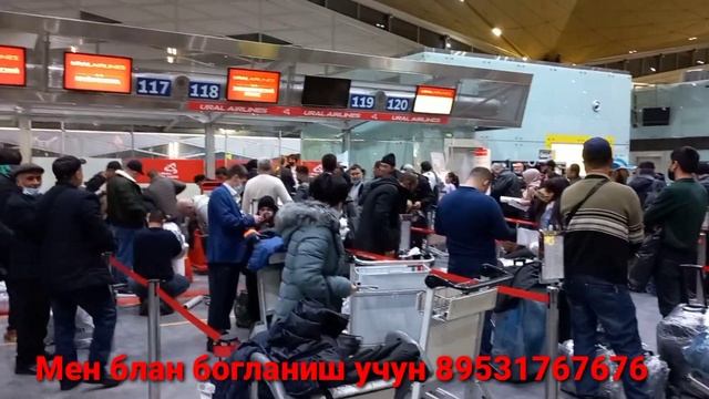 УЙГА КЕТИШ УЧУН МАЛУМОТ ОЛИНГ#laek_bosing_va_obuna_boling смотреть онлайн